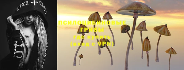 ALPHA PVP Алексеевка