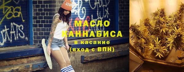 молекула духа Алексин
