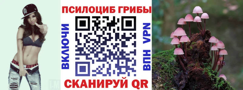 Галлюциногенные грибы мицелий Зеленоградск