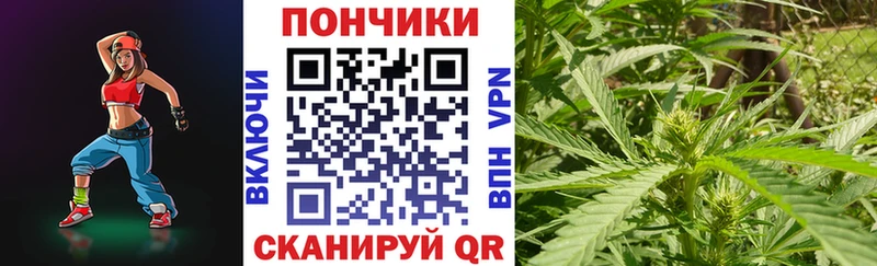 Бошки марихуана Bruce Banner  Зеленоградск 